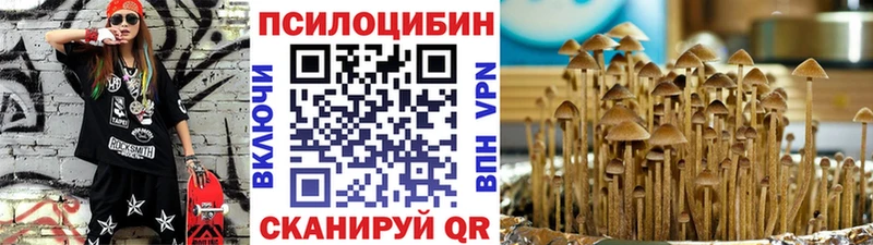 Галлюциногенные грибы Magic Shrooms  mega онион  маркетплейс Telegram  Братск 